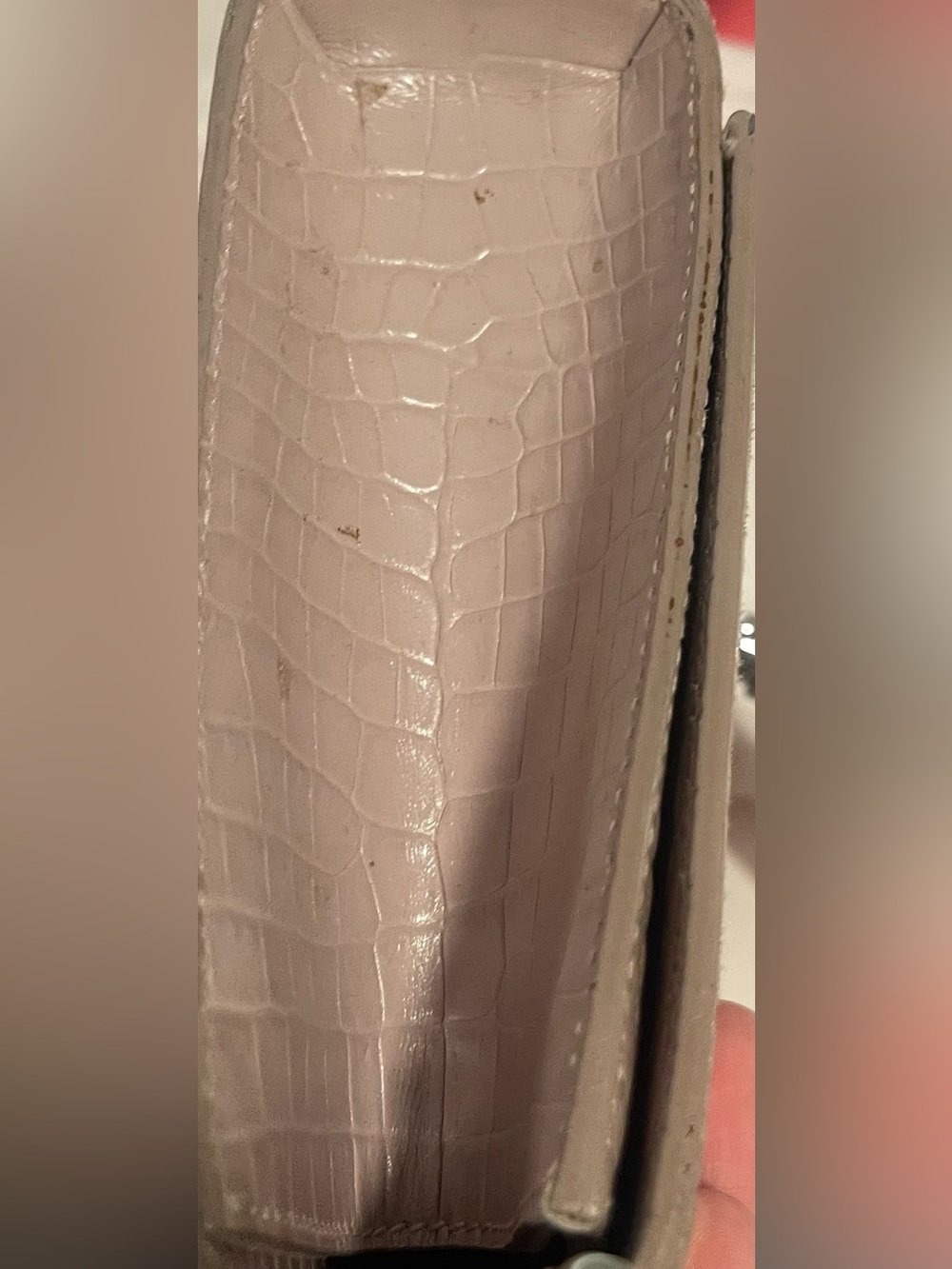 Saint Laurent Nude Croc-Embossed Crossbody Bag - Picture 15 of 15